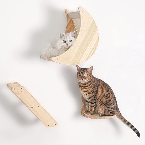 Cat Shelf for Wall Mount Hammock with Climbing Shelves and Perches Solid Wood Cat Steps for Climbing Sleeping Playing Lounging Perching in Saudi Arabia