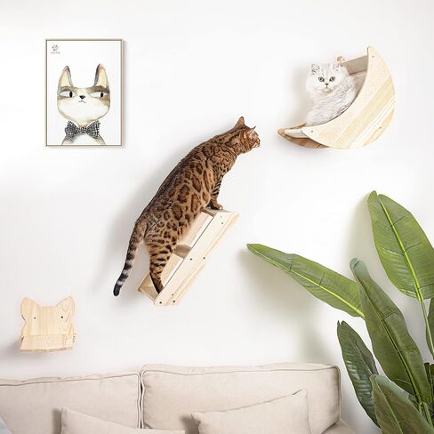 Cat Shelf for Wall Mount Hammock with Climbing Shelves and Perches Solid Wood Cat Steps for Climbing Sleeping Playing Lounging Perching in Saudi Arabia