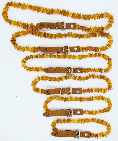 Amber Collars for Dogs & Cats - Baltic Amber Dog & Cat Collar with Adjustable Leather Strap - Raw Knotted Amber Beads (35-40cm) in Saudi Arabia
