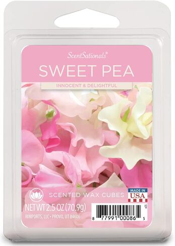 ScentSationals مكعبات شمع البازلاء الحلوة ويكلس in Saudi Arabia
