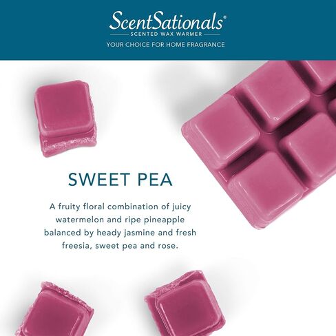 ScentSationals مكعبات شمع البازلاء الحلوة ويكلس in Saudi Arabia