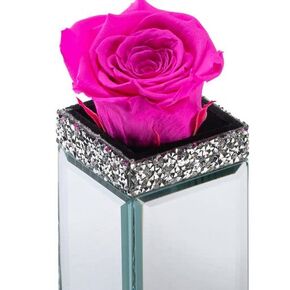 SOHO FLORAL ARTS | Mirrored Vase Pave Accent | Single Preserved Genuine Rose that Last for Years | Forever Rose in a Box (White) | Mothers Day Gifts