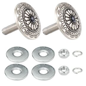Arenbel 2Pcs License Plate Frame Fasteners Screws Retro Car Tag Bolts Kit Fit Vehicles Motorcycle Trucks SUV, Embedded Blue Core