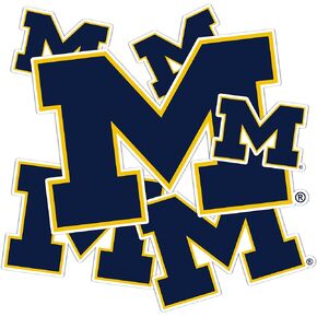 Desert Cactus University of Michigan Sticker Wolverines UM U of M Stickers Vinyl Decals Laptop Water Bottle Car Scrapbook T3 (Type 3-4)