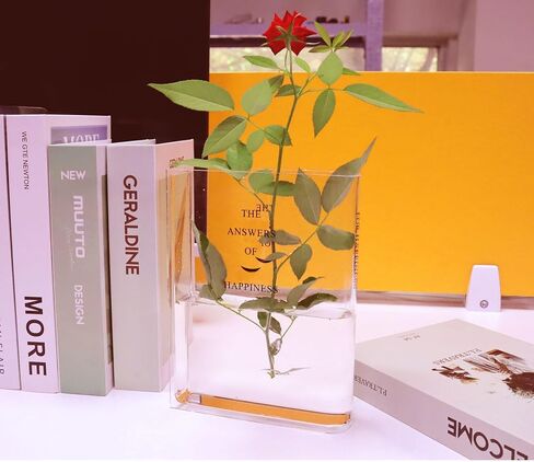 مزهرية كتاب للزهور، مزهرية على شكل كتاب بنكهة فنية وثقافية، مزهرية أكريليك شفافة مزخرفة فريدة لغرفة المعيشة، طاولة الطعام، المدخل، الرف، المكتب (لون شفاف) in Kuwait