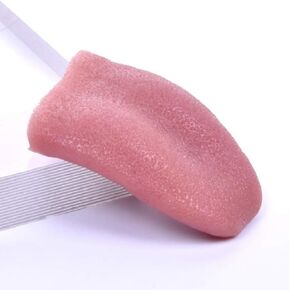 Funny Realistic Fake Tongue Toys Stretchable Tongue Realistic Magic Tongue Fake Tongue Specially Function for Carnival Halloween Party Magic Tricks Accessories Prank Tongue Toy (Style 1)