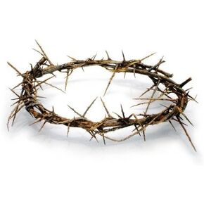 Passion of Christ Crown of Thorns/Authentic Crown of Thorns Comes in Gift Box with Description