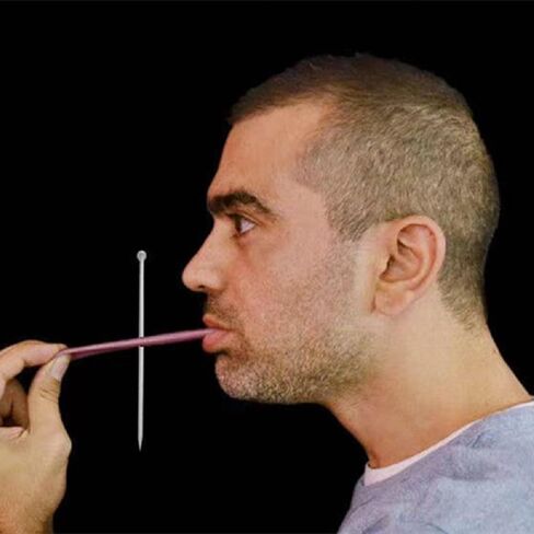 Funny Realistic Fake Tongue Toys Stretchable Tongue Realistic Magic Tongue Fake Tongue Specially Function for Carnival Halloween Party Magic Tricks Accessories Prank Tongue Toy (Style 1) in Saudi Arabia