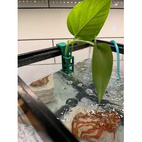 Aquarium Plant Holder for 10 Gallon Rimmed Fish Tanks The Mini 3D Printed - Green Pothos Holder - Stemmed Plant Holder