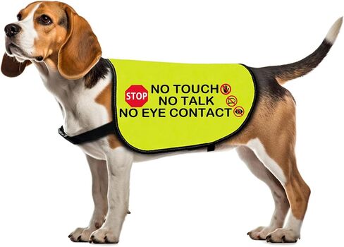 Funny Dog Jacket Vest No Touch No Talk No Eye Contact Dog Slogan Vest Social Distancing Gift (No Eye Contact-Medium) in Saudi Arabia