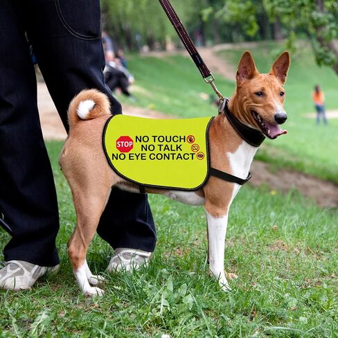 Funny Dog Jacket Vest No Touch No Talk No Eye Contact Dog Slogan Vest Social Distancing Gift (No Eye Contact-Medium) in Saudi Arabia