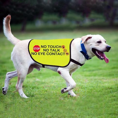 Funny Dog Jacket Vest No Touch No Talk No Eye Contact Dog Slogan Vest Social Distancing Gift (No Eye Contact-Medium) in Saudi Arabia