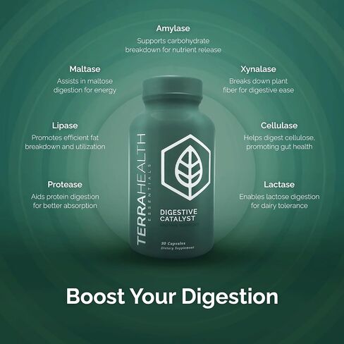 Terra Health Essentials Digestive Catalyst | Reduce IBS | Amylase, Protease & Glucoamylase (1 Bottle, 60 Capsules) in Saudi Arabia