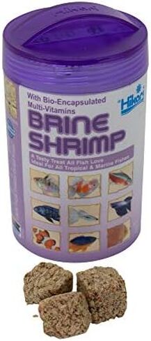 ANGIEHAIE Y.F.S. YFS Catfish Shrimp Sticks Pellets Tropical Bulk Bottom Feeder Fish Food 1/2 LB in Saudi Arabia