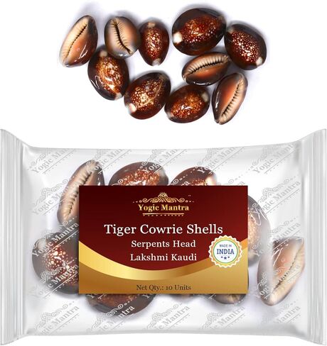أصداف Yogic Mantra Tiger Cowrie (10 قطع حقيبة بحجم مختلط) أصداف رأس الثعبان Cypraea لتزيين الشاطئ البحري. راج لاكشمي كوري كوادي، كاودي لاكشمي بوجا. لاكشمي بوجا كاوري صنع المجوهرات. in Kuwait