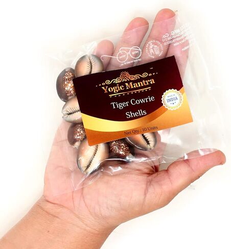 أصداف Yogic Mantra Tiger Cowrie (10 قطع حقيبة بحجم مختلط) أصداف رأس الثعبان Cypraea لتزيين الشاطئ البحري. راج لاكشمي كوري كوادي، كاودي لاكشمي بوجا. لاكشمي بوجا كاوري صنع المجوهرات. in Kuwait