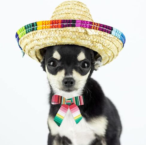 hying 4 لفات شرائط مكسيكية لتغليف الهدايا اليدوية، شريط Serape Fiesta لتغليف الهدايا لتزيين الحفلات DIY، 0.9 بوصة × 20 ياردة خطوط قوس قزح أشرطة Grosgrain الحرفية لديكور Cinco De Mayo in Saudi Arabia
