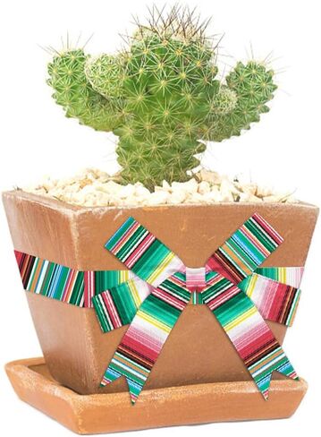 hying 4 لفات شرائط مكسيكية لتغليف الهدايا اليدوية، شريط Serape Fiesta لتغليف الهدايا لتزيين الحفلات DIY، 0.9 بوصة × 20 ياردة خطوط قوس قزح أشرطة Grosgrain الحرفية لديكور Cinco De Mayo in Saudi Arabia