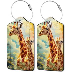 Set of 2 Luggage Tags,American Football Leather Suitcases Tag Identifiers with Privacy Name Address Labels & Durable Steel Loop for Women Men Travel