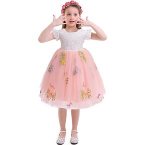 OBEEII Flower Girl Dress Toddler Baby Lace Floral Embroidery Tulle Dress Pageant Birthday Party Dress