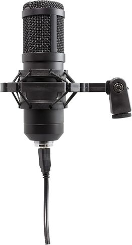 Digital Podcast Studio Microphone USB Plug and Play, Built-in Noise Reduction, Compatible with PC and Mac, High Sampling Rate, Crystal Clear Sound, for Recording, Singing, Streaming in Saudi Arabia