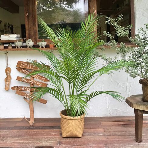 2pcs Artificial Palm Tree Fake Monstera Plants Indoor Tropical Palm Leaves Plastic Turtle Foliage Faux Green Plants for Home Office Garden Outdoor Decor (Palm and Monstera) in Saudi Arabia