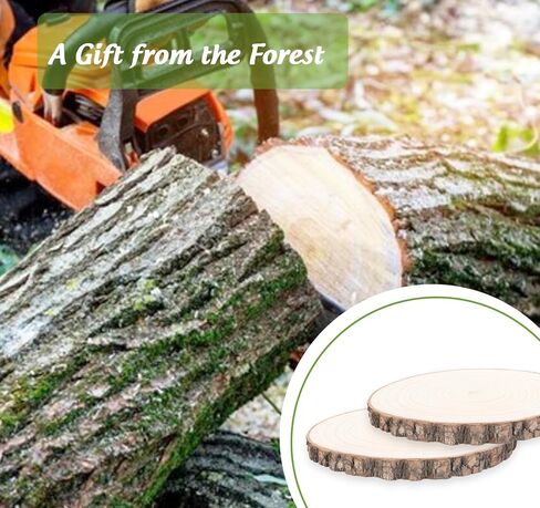 2 Pack Wood Slices for Centerpieces 8-9 inches Nature Unfinished Round Wood Chips for Crafts, Large Wood Slabs for Weddings Centerpieces Decor and DIY Painting Crafts in Kuwait