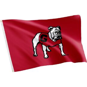 Desert Cactus University of Georgia Flag Bulldogs UGA Dawgs Flags Banners 100% Polyester Indoor Outdoor 3x5 (Design 11)