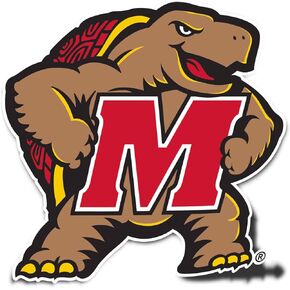 Desert Cactus University of Maryland Terrapins UMD Terps Vinyl Decal Laptop Water Bottle Car Scrapbook Sticker (IND 5)