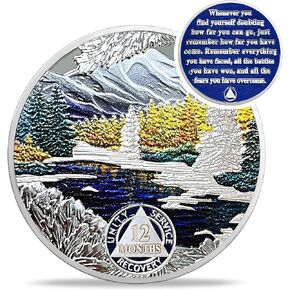 11 Month Sobriety Coin - Recovery Seasonal Landscapes AA Coins - Autumn NA HA AA Chips and Medallions - 1-12 Month Clean and Sober Narcotics Alcoholics Anonymous Gifts for Men Women