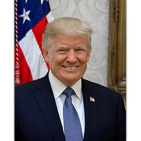 KKMMZZ Diamant Painting Donald Trump American President Star 5D DIY Full Drill Diamond Painting Kit Round Mosaic Rhinestone Needlework Home Decor-11.8x15.8inch