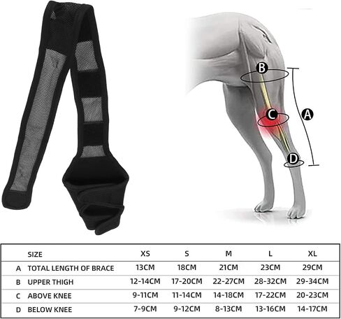 AYNEFY Dog Elbow Protector, Dog Elbow Brace Protector Pads Relieve Arthritis Reducing Pain Provides Support Dog Elbow Protector for Small Medium Dogs (S) in Saudi Arabia