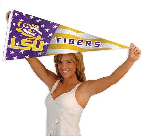 Louisiana State LSU Tigers Nation USA Stars and Stripes Pennant Pennant Banner Flag in Saudi Arabia