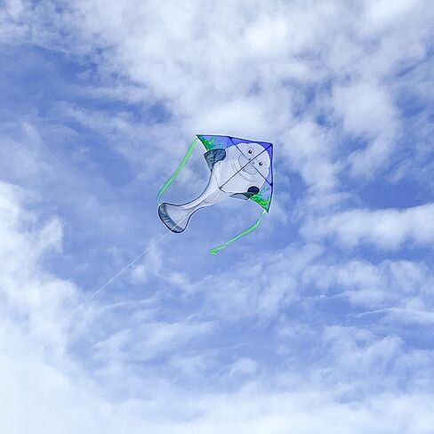 In the Breeze Sea Life Fly-Hi Kite, Single Line Kite, Ripstop Fabric, Line and Bag Included in Saudi Arabia