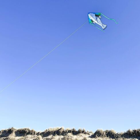 In the Breeze Sea Life Fly-Hi Kite, Single Line Kite, Ripstop Fabric, Line and Bag Included in Saudi Arabia