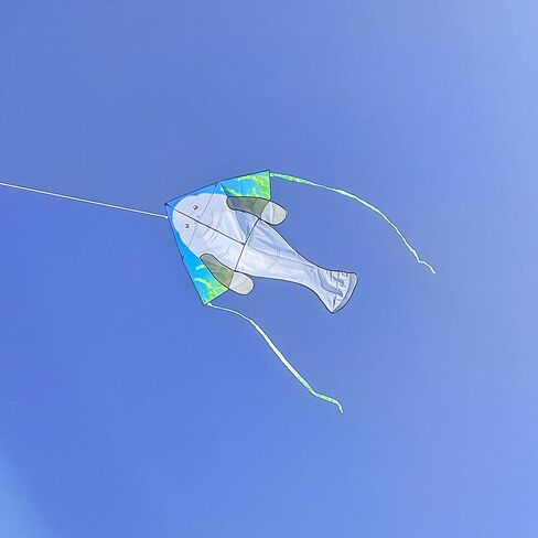 In the Breeze Sea Life Fly-Hi Kite, Single Line Kite, Ripstop Fabric, Line and Bag Included in Saudi Arabia