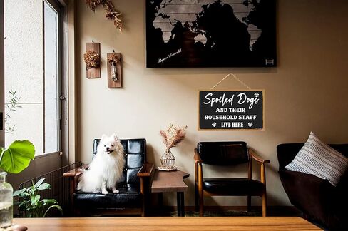 علامة الكلاب المدللة وموظفيها يعيشون هنا، 11 × 6 بوصة لافتة خشبية معلقة لديكور المنزل، لافتات عائلية لهدية ديكور المنزل، هدايا علامة ديكور غرفة الكلب، علامة فنية جدارية لديكور المنزل (CA7US-022) in Kuwait