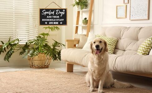 علامة الكلاب المدللة وموظفيها يعيشون هنا، 11 × 6 بوصة لافتة خشبية معلقة لديكور المنزل، لافتات عائلية لهدية ديكور المنزل، هدايا علامة ديكور غرفة الكلب، علامة فنية جدارية لديكور المنزل (CA7US-022) in Kuwait