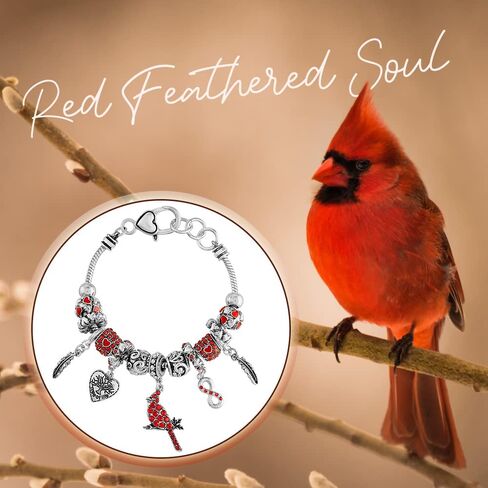 سوار كريستال كاردينال ساحر رمز إنفينيتي مع صندوق بطاقات قصيدة الروح ذات الريش الأحمر هدية تذكارية للحزن in Kuwait