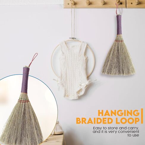 – Small Whisk Broom Handheld Brush Whisks Away Dust, Dirt & Debris Brush Head 9.5-11" L with Nylon Hanger for Easy Storage Perfect for Inddor Outdoor and Car in Saudi Arabia