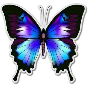 Blue Morpho Butterfly Vinyl Sticker - Car Window Bumper Laptop Bumper Sticker Decal