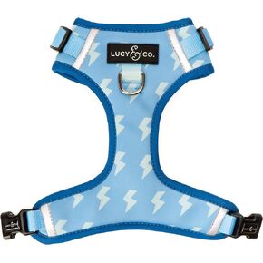 Lucy & Co. Cute No-Pull Simply Splendid Harness - Stop Pulling & Walk Easy - Harness Available in XS-XL for Small, Medium, and Large Dogs - Blue Yellow Daisies (Medium)