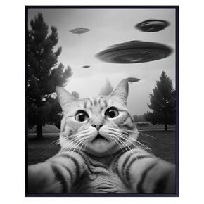 funny Cat Wall Art & Decor - Cat Themed Wall Decor - funny Wall Art for Teen Boy, Boys Bedroom Decor -Cat Pictures - Cat Gifts for Men - Cat Themed College Dorm Room Decor Poster - UFO Wall Decor