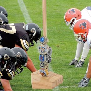1 pcs Baseball Champion Ring Display Rack, Sports Championship Prize and Souvenir Display Cabinet, Log Material Storage Rack