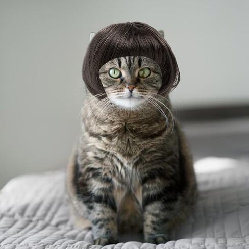 شعر مستعار مضحك للحيوانات الأليفة، شعر مستعار للكلاب، شعر مستعار للقطط، أزياء حيوانات أليفة مضحكة للكلاب الصغيرة والمتوسطة والكبيرة والقطط، ملحقات صناعية قابلة للتشذيب باللون البني الطبيعي، زينة تنكرية للكلاب والهالوين لحفلات الهالوين وعيد الميلاد in Kuwait