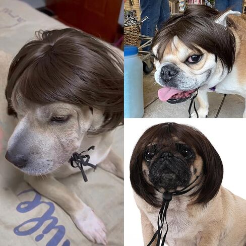 شعر مستعار مضحك للحيوانات الأليفة، شعر مستعار للكلاب، شعر مستعار للقطط، أزياء حيوانات أليفة مضحكة للكلاب الصغيرة والمتوسطة والكبيرة والقطط، ملحقات صناعية قابلة للتشذيب باللون البني الطبيعي، زينة تنكرية للكلاب والهالوين لحفلات الهالوين وعيد الميلاد in Kuwait