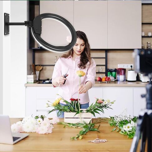 Konseen 2M التصوير الفوتوغرافي نظام السكك الحديدية السقف ضوء الفيديو جبل دعم عدة مع ملحقات حبل السلامة للبث المباشر استوديو التصوير الفوتوغرافي فلاش سوفت بوكس ​​عاكس المعدات المتخصصة in Kuwait