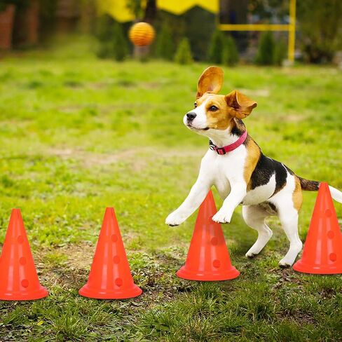 مجموعة مخروط حواجز رشاقة الكلاب: 6 مجموعات من الحواجز والأقماع، و12 مخروطًا للتمرين و6 أقطاب قابلة للتعديل - معدات رشاقة الكلاب المحمولة والمتينة للتدريب في أي مكان in Kuwait