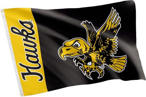 Desert Cactus University of Iowa Flag Hawkeyes Flags Banners 100% Polyester Indoor Outdoor 3x5 (Vintage Team Name) in Saudi Arabia