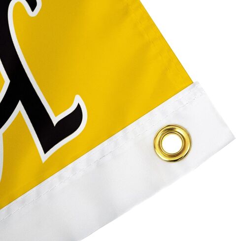 Desert Cactus University of Iowa Flag Hawkeyes Flags Banners 100% Polyester Indoor Outdoor 3x5 (Vintage Team Name) in Saudi Arabia